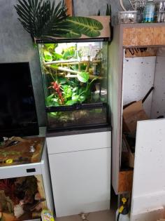 Laticauda Pärchen mit Terrarium bestückt, Technik und Unterschrank
