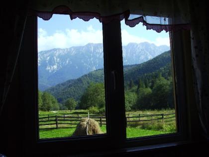 Urlaub mit Hund in den rumänischen Karpaten
