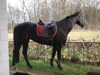 Biete RB in Ottersheim Pfalz