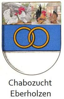 Chabos in verschiedenen Farben