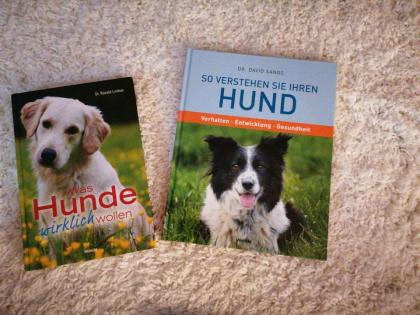 4 Bücher zum Thema Hundeerziehung