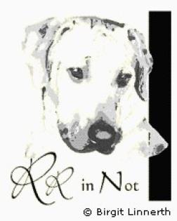 Ridgeback in Not. Wir helfen