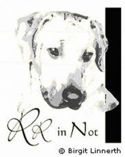 Ridgeback in Not. Wir helfen