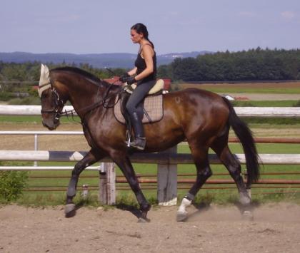 Möchte denn niemand reiten