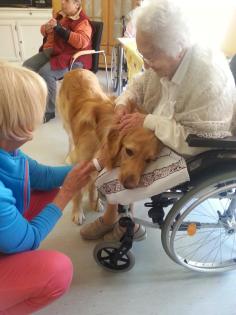 Hundeschule Axstedt -Trainingszentrum für Hund Halter in Niedersachsen