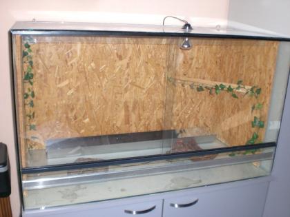 Terrarium 120cm x 60 cm x 70 cm mit passendem grauen Unterschrank