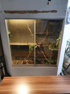 Kornnatter Terrarium Zubehör
