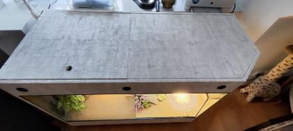 Terrarium mit Bartagamen Päarchen Premium Eigenbau, eyecatcher