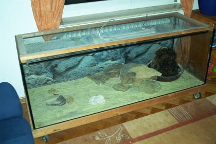 Terrarium inkl. Zubehör zu verkaufen 1, 70x0, 60x0, 60m