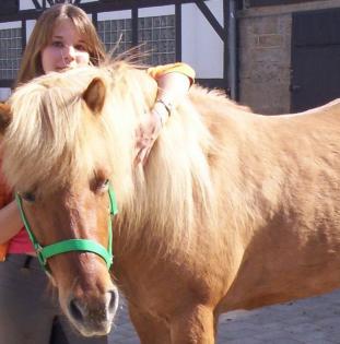 Suche Reitbeteiligung in Frankfurt und Umgebung