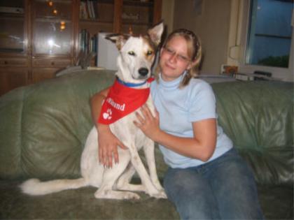 Bobby, ein Traumhund für Hundekenner