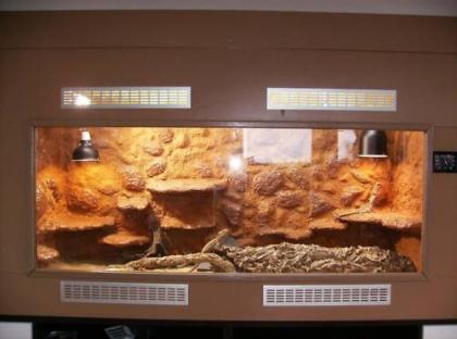 Edel Holz Terrarium 180cmx70cmx110cm 2 Bartagamen