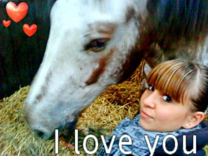 Suche Reitbeteiligung