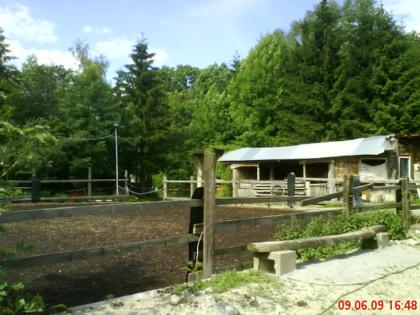 Hof in Dürnau Kr. Göppingen hat noch Boxen frei