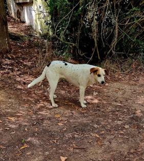 Jewel sucht ein passendes Zuhause