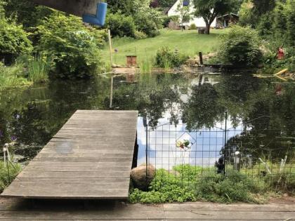 Auffangstation für Wasserschildkröten