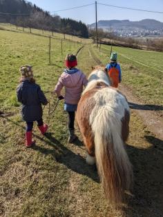 Spaziergänge mit Shettys