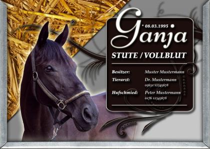 Individuelle Boxenschilder und exklusive Stalltafeln
