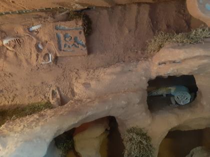 Komplettes Terrarium mit Leopardgecko