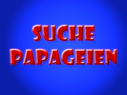 Suche Papageienpaar