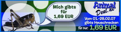 Heuschrecken nur 1, 69 Euro pro Dose