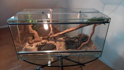 Reptilien-Terrarium