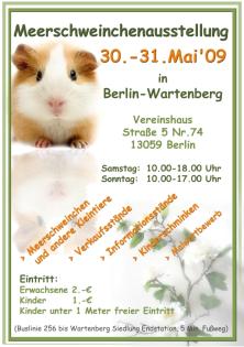 Meerschweinchenausstellung