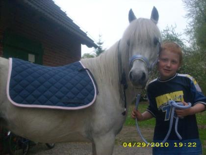 Bildhüpsche liebe 9 jährige schimmelponystute abzugeben.