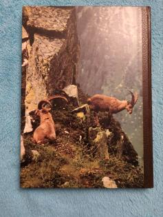 Tierbuch Freilebende Tiere unserer Heimat Heinz Sielmann
