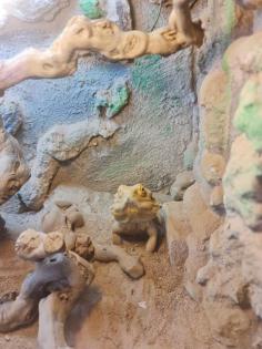 Bartagame mit Terrarium
