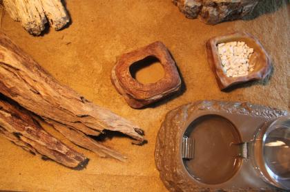 Wunderschönes Terrarium für Geckos mit Zubehör