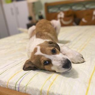 Angela / Status sucht ein Zuhause