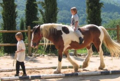 Ferien mit Pferden in der Toskana, Italien