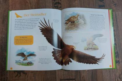 Mein erstes großes Tierbuch NEU