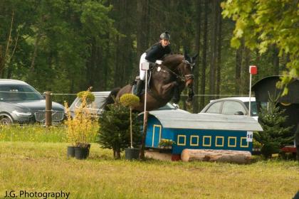 Reitbeteiligung- Pferd e sucht Reiter