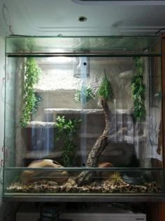 Terrarium 120x120x80