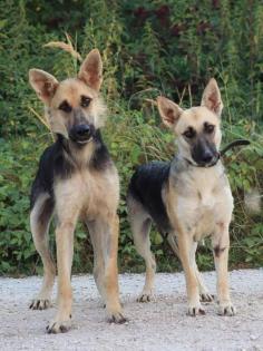 Godfrey. freut sich auf seine Familie