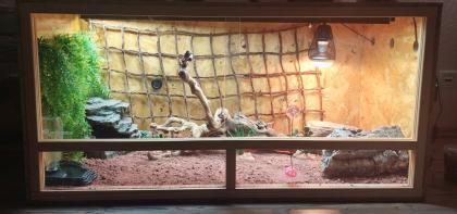 Terrarium 120x60x60