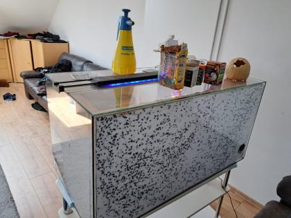 Verkaufe Leopardgecko und Terrarium