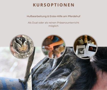 Kurse Rund ums Pferd - Weihnachtsaktion