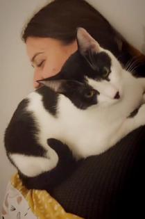 Snoopy Kater mit Charakter Charme sucht Traumzuhause