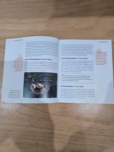 Hundeerziehung Buch Hund