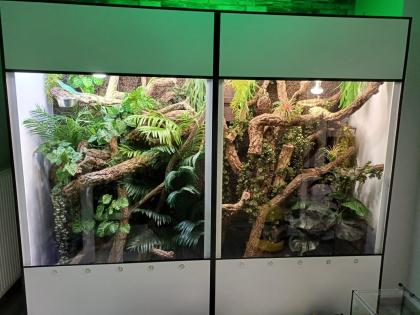 -20 auf Premium Kunststoff Terrarien und Terrarium Racks
