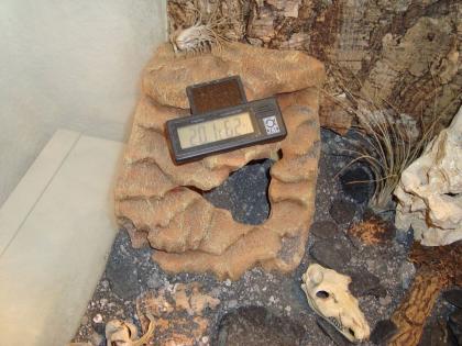 Biete ein Terrarium inkl. Starter-Kit Leopard-Geckos an
