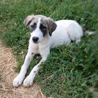 Bounty / Status sucht ein Zuhause