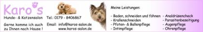 Mobiler Hunde- und Katzenfriseur Pflege
