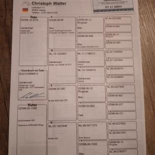 Brieftauben Jungtauben 2024 - mehrmaliger RV-Meister