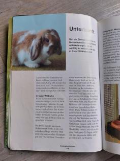 Kosmos Zwergkaninchen Pflege, Rasse - Hasenbuch Tierbuch