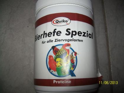 3 Paare Singsittiche aus Aussenvolierenhaltung zu verkaufen