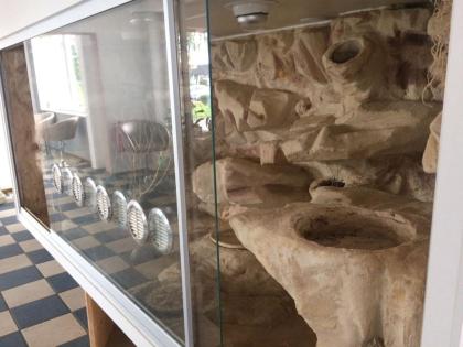 Terrarium im guten Zustand